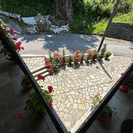 Λευκή Καμέλια Hotel Anilio Pelion Bagian luar foto
