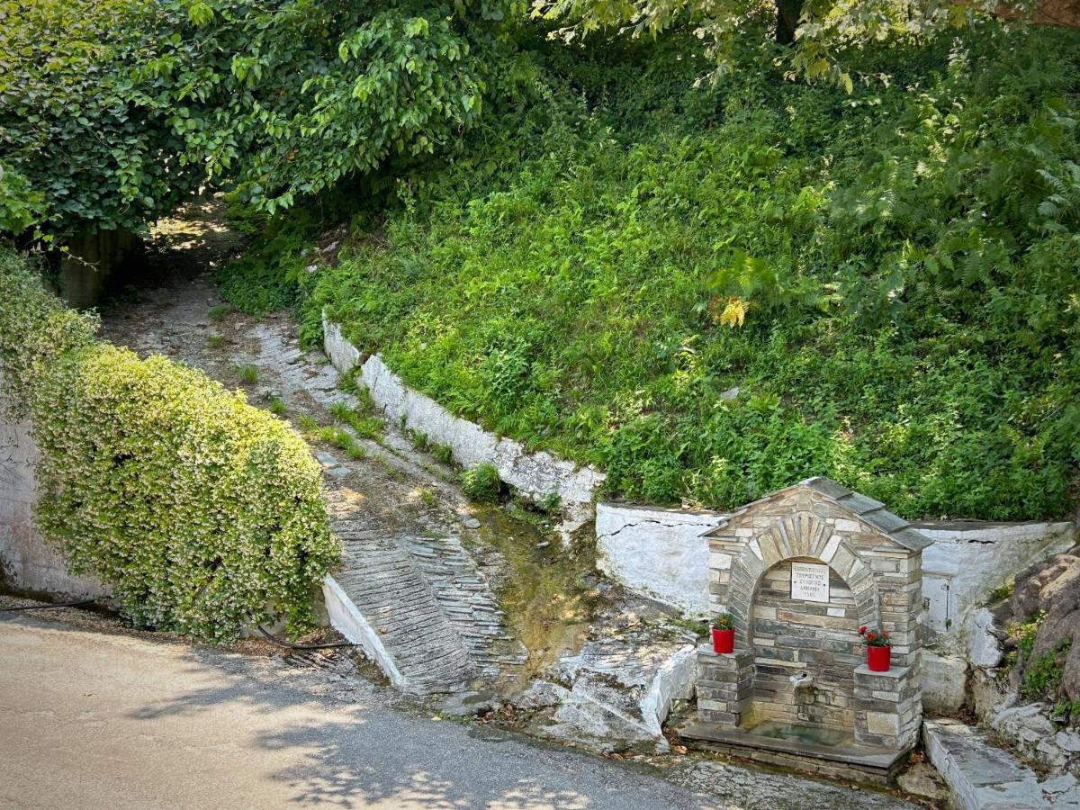 Λευκή Καμέλια Hotel Anilio Pelion Bagian luar foto