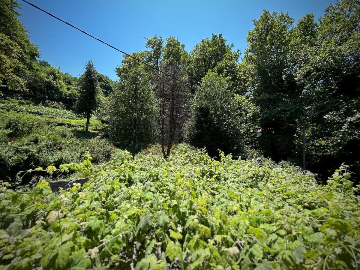 Λευκή Καμέλια Hotel Anilio Pelion Bagian luar foto
