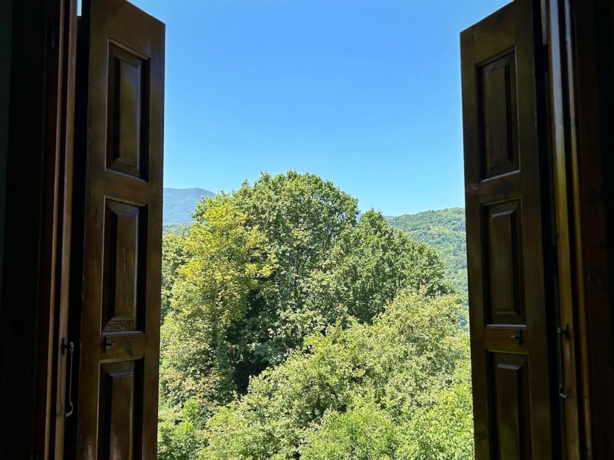 Λευκή Καμέλια Hotel Anilio Pelion Bagian luar foto