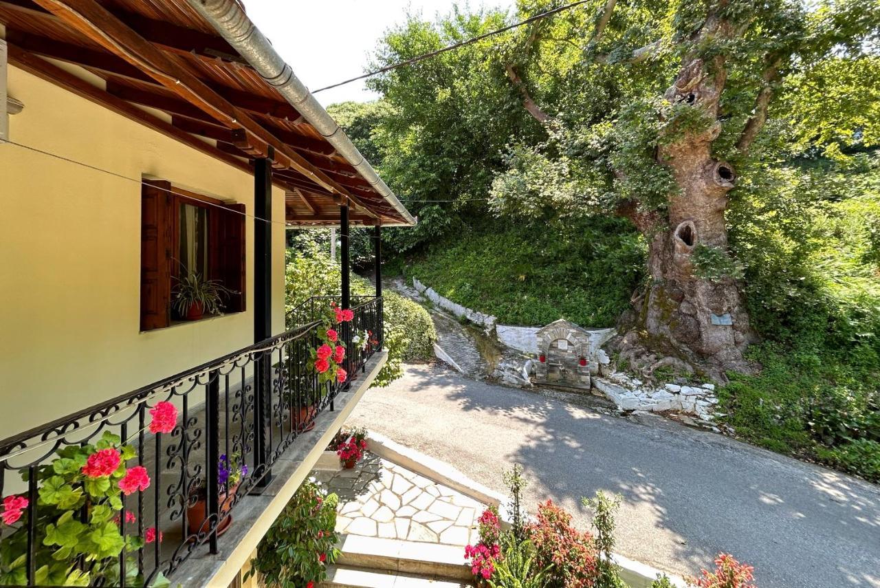 Λευκή Καμέλια Hotel Anilio Pelion Bagian luar foto