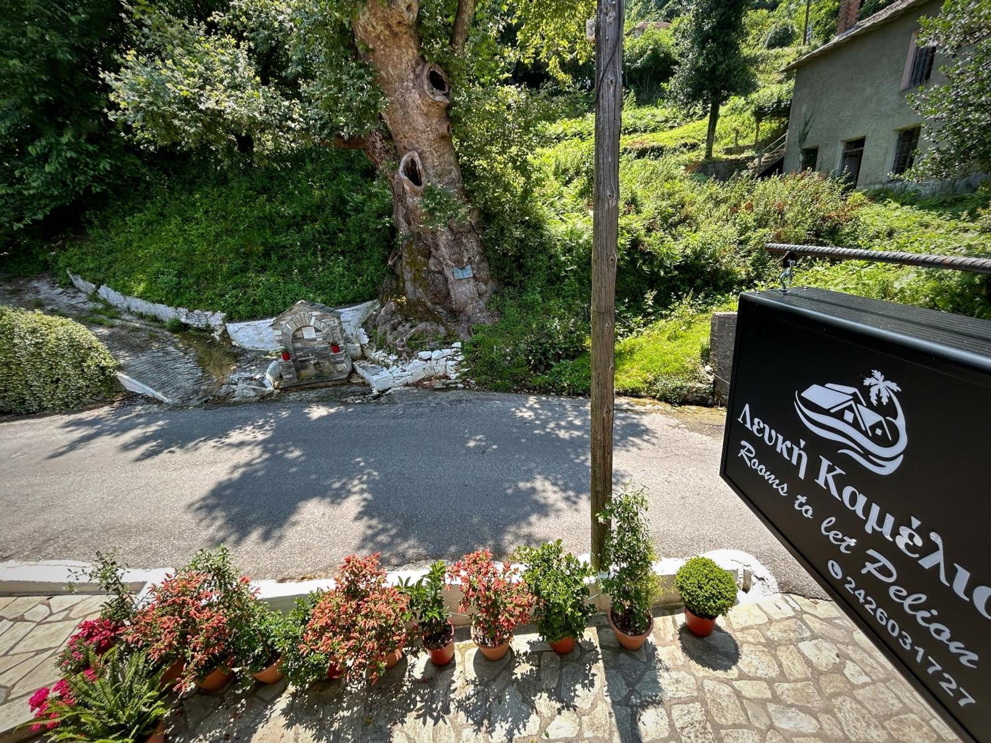 Λευκή Καμέλια Hotel Anilio Pelion Bagian luar foto